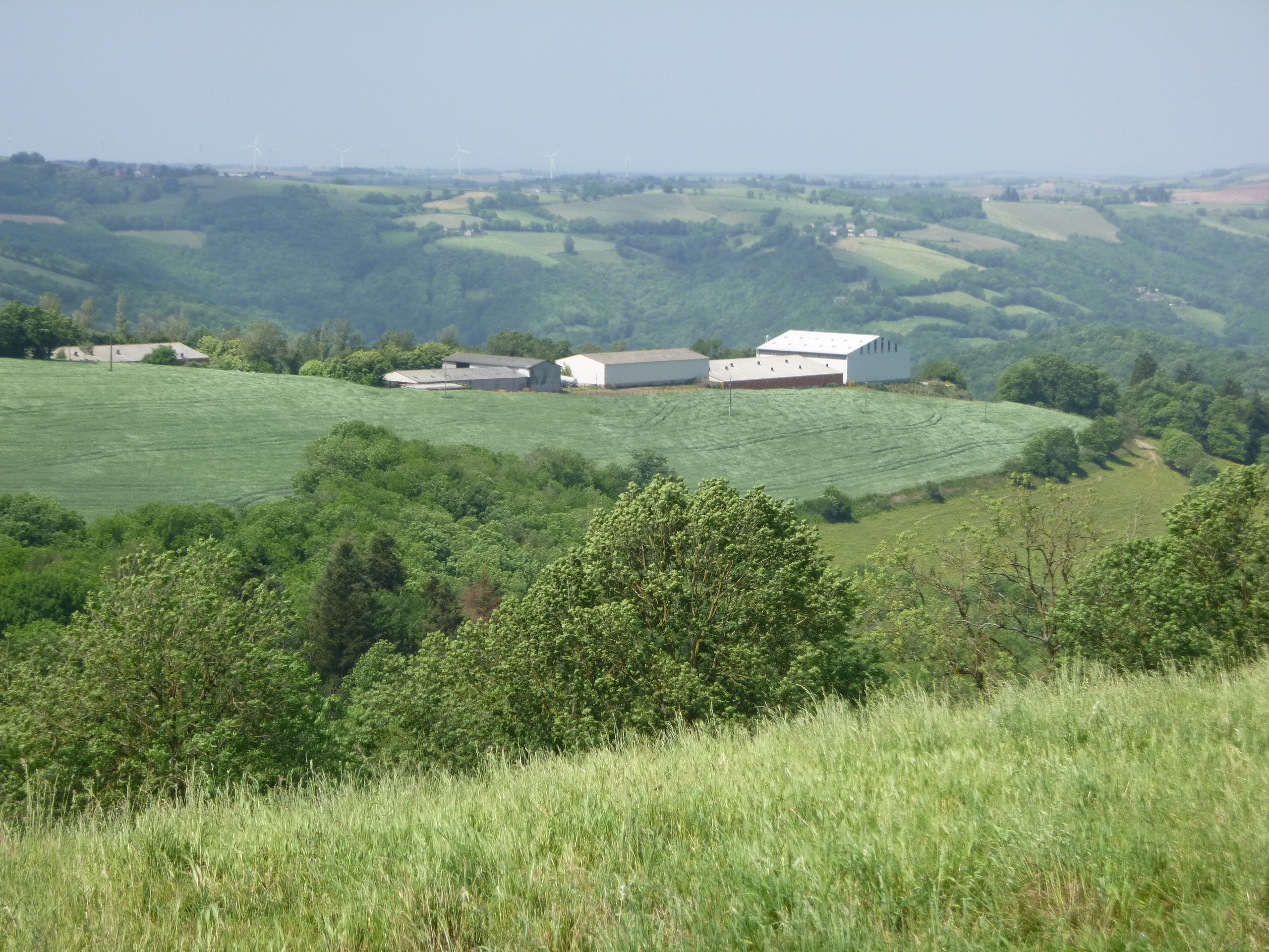 paysage