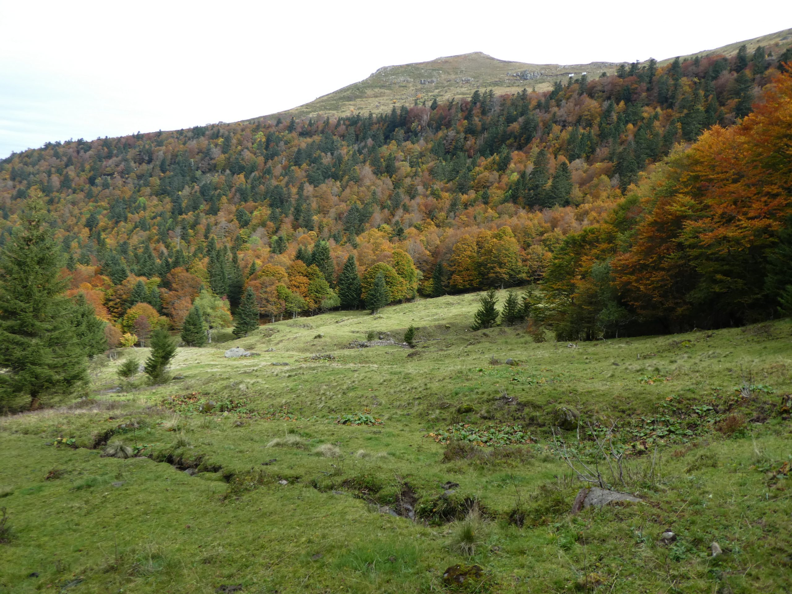 paysage